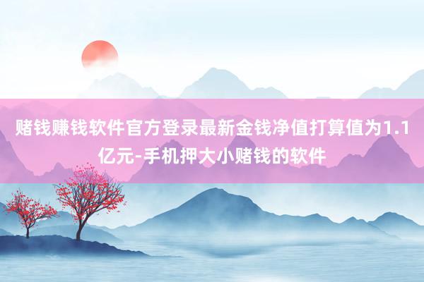 赌钱赚钱软件官方登录最新金钱净值打算值为1.1亿元-手机押大小赌钱的软件