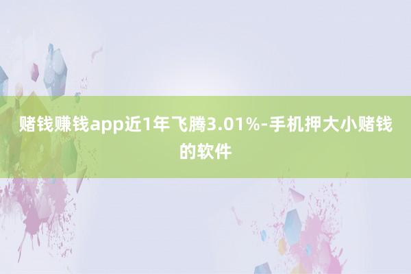 赌钱赚钱app近1年飞腾3.01%-手机押大小赌钱的软件