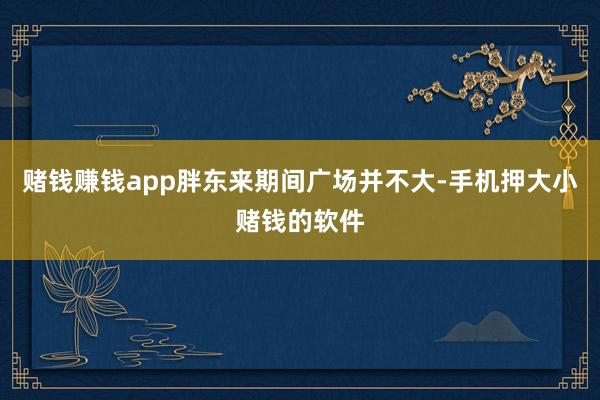 赌钱赚钱app胖东来期间广场并不大-手机押大小赌钱的软件