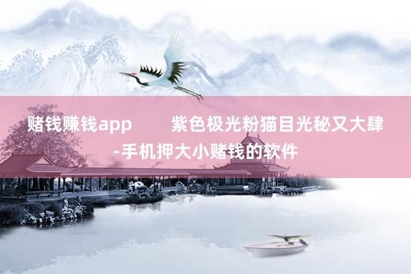 赌钱赚钱app        紫色极光粉猫目光秘又大肆-手机押大小赌钱的软件
