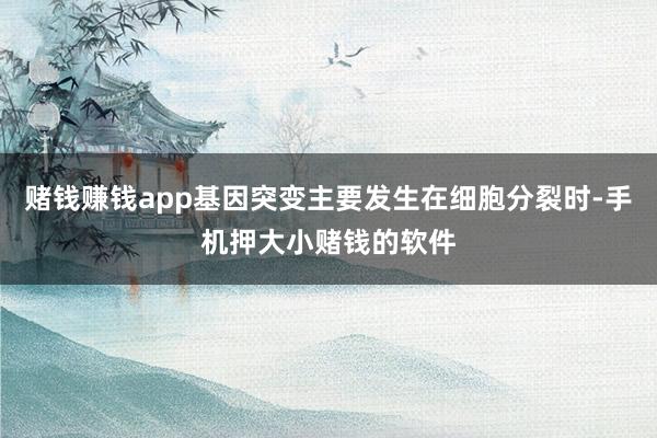 赌钱赚钱app基因突变主要发生在细胞分裂时-手机押大小赌钱的软件