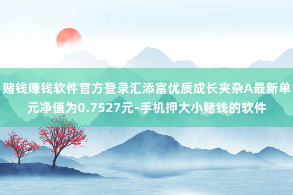 赌钱赚钱软件官方登录汇添富优质成长夹杂A最新单元净值为0.7527元-手机押大小赌钱的软件