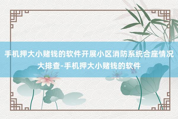 手机押大小赌钱的软件开展小区消防系统合座情况大排查-手机押大小赌钱的软件
