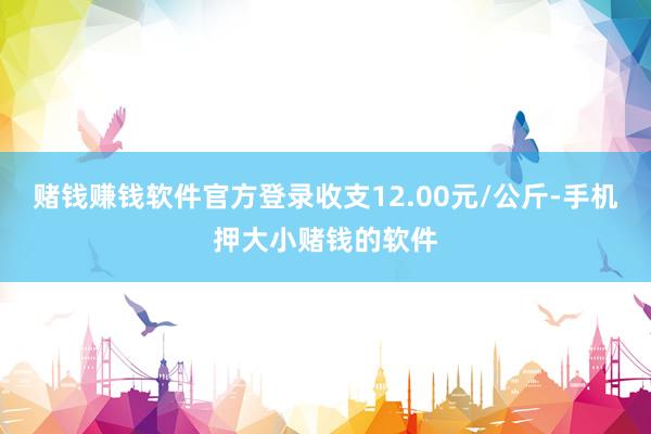 赌钱赚钱软件官方登录收支12.00元/公斤-手机押大小赌钱的软件