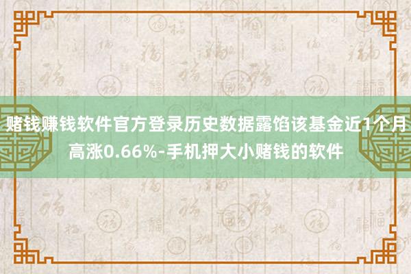 赌钱赚钱软件官方登录历史数据露馅该基金近1个月高涨0.66%-手机押大小赌钱的软件