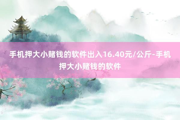 手机押大小赌钱的软件出入16.40元/公斤-手机押大小赌钱的软件