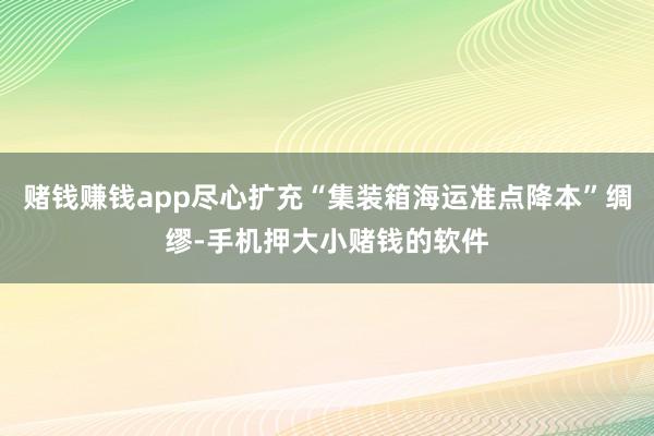 赌钱赚钱app尽心扩充“集装箱海运准点降本”绸缪-手机押大小赌钱的软件