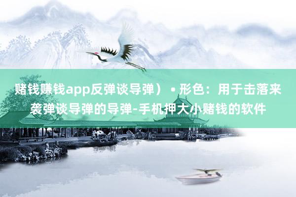 赌钱赚钱app反弹谈导弹） • 形色：用于击落来袭弹谈导弹的导弹-手机押大小赌钱的软件
