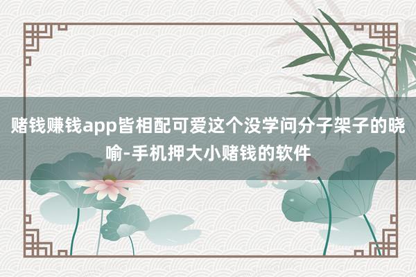 赌钱赚钱app皆相配可爱这个没学问分子架子的晓喻-手机押大小赌钱的软件