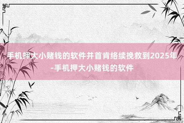 手机押大小赌钱的软件并首肯络续挽救到2025年-手机押大小赌钱的软件