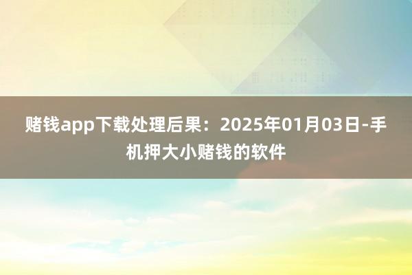 赌钱app下载处理后果：2025年01月03日-手机押大小赌钱的软件