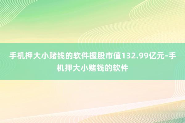 手机押大小赌钱的软件握股市值132.99亿元-手机押大小赌钱的软件