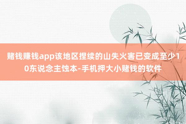赌钱赚钱app该地区捏续的山失火害已变成至少10东说念主蚀本-手机押大小赌钱的软件