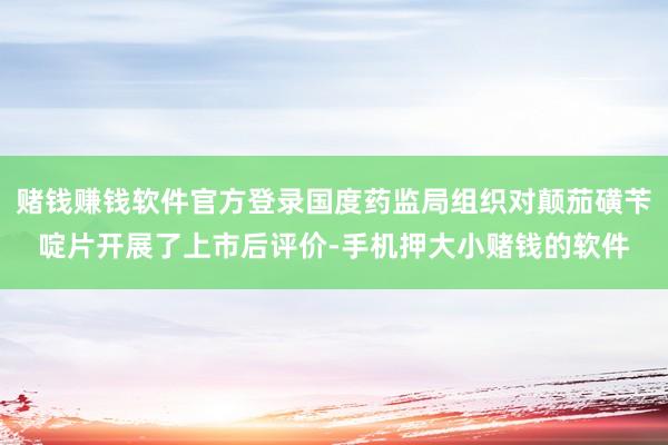 赌钱赚钱软件官方登录国度药监局组织对颠茄磺苄啶片开展了上市后评价-手机押大小赌钱的软件