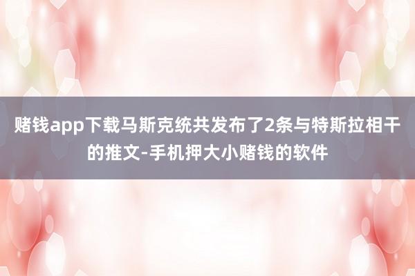 赌钱app下载马斯克统共发布了2条与特斯拉相干的推文-手机押大小赌钱的软件