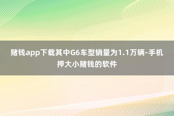 赌钱app下载其中G6车型销量为1.1万辆-手机押大小赌钱的软件