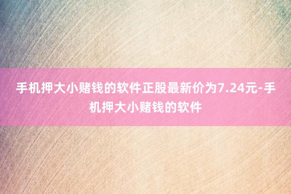手机押大小赌钱的软件正股最新价为7.24元-手机押大小赌钱的软件