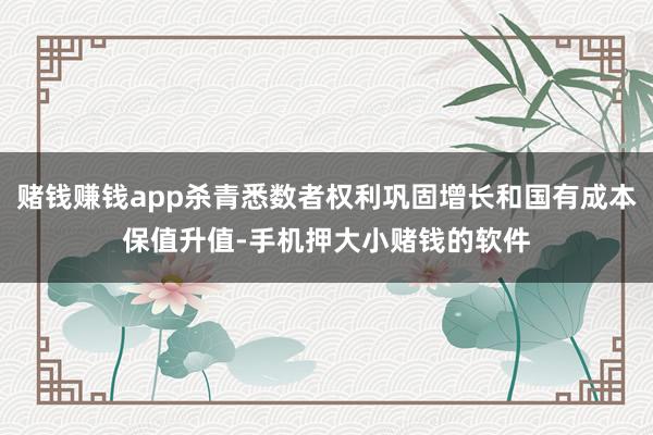 赌钱赚钱app杀青悉数者权利巩固增长和国有成本保值升值-手机押大小赌钱的软件