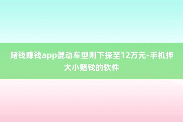赌钱赚钱app混动车型则下探至12万元-手机押大小赌钱的软件