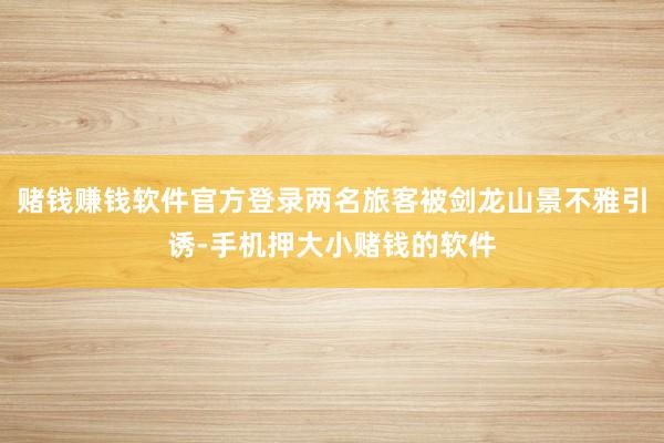 赌钱赚钱软件官方登录两名旅客被剑龙山景不雅引诱-手机押大小赌钱的软件