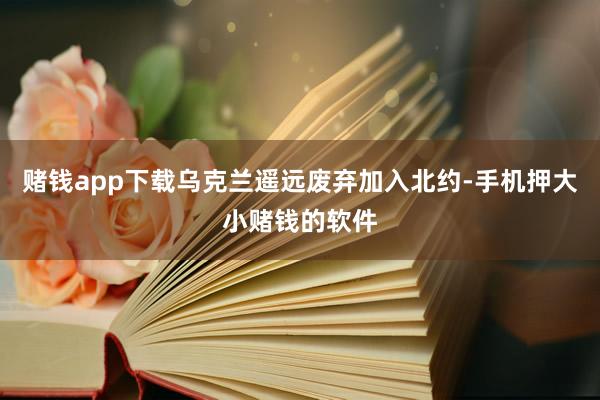 赌钱app下载乌克兰遥远废弃加入北约-手机押大小赌钱的软件