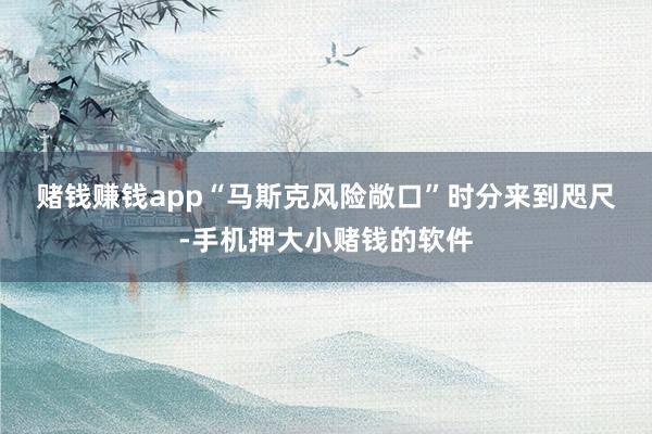 赌钱赚钱app　　“马斯克风险敞口”　　时分来到咫尺-手机押大小赌钱的软件