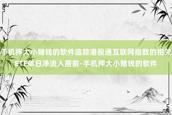 手机押大小赌钱的软件追踪港股通互联网指数的相关ETF单日净流入居前-手机押大小赌钱的软件