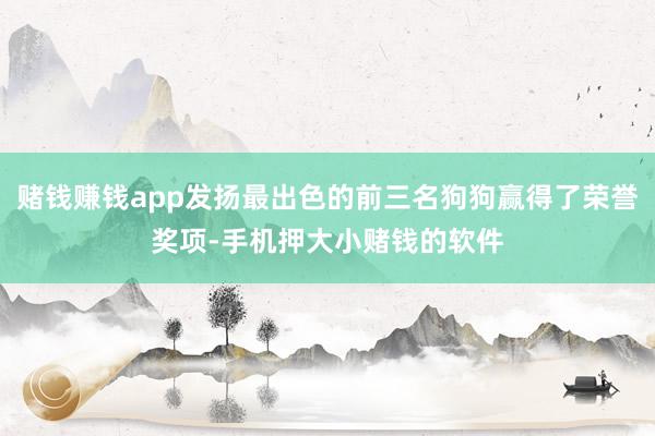 赌钱赚钱app发扬最出色的前三名狗狗赢得了荣誉奖项-手机押大小赌钱的软件