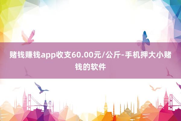 赌钱赚钱app收支60.00元/公斤-手机押大小赌钱的软件
