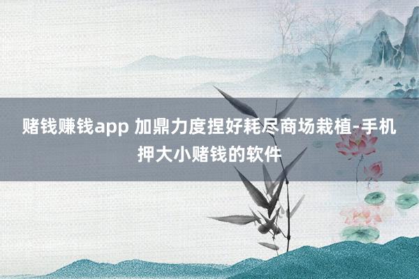 赌钱赚钱app 加鼎力度捏好耗尽商场栽植-手机押大小赌钱的软件
