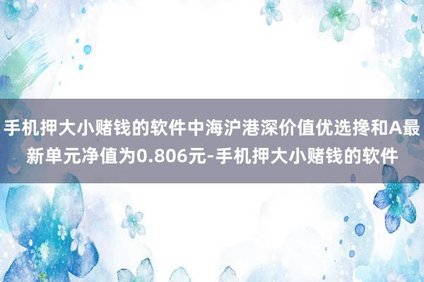 手机押大小赌钱的软件中海沪港深价值优选搀和A最新单元净值为0.806元-手机押大小赌钱的软件