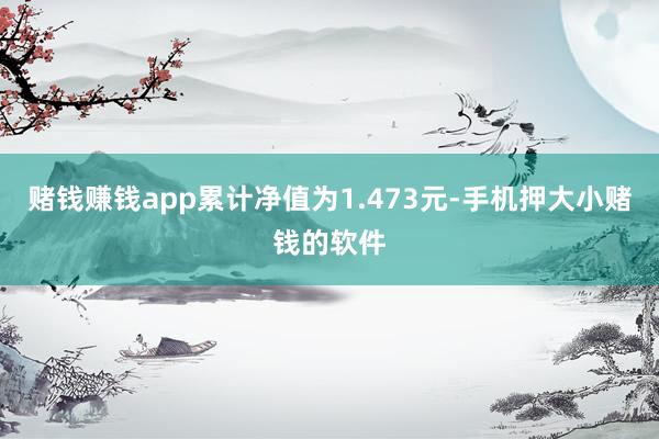 赌钱赚钱app累计净值为1.473元-手机押大小赌钱的软件