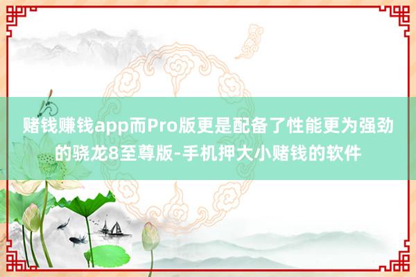 赌钱赚钱app而Pro版更是配备了性能更为强劲的骁龙8至尊版-手机押大小赌钱的软件