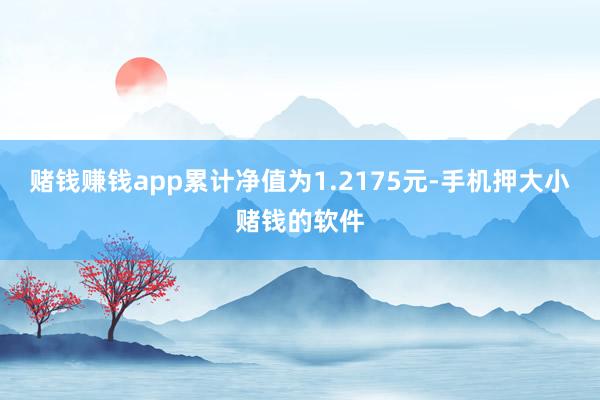 赌钱赚钱app累计净值为1.2175元-手机押大小赌钱的软件