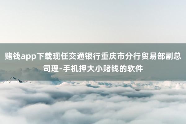 赌钱app下载现任交通银行重庆市分行贸易部副总司理-手机押大小赌钱的软件