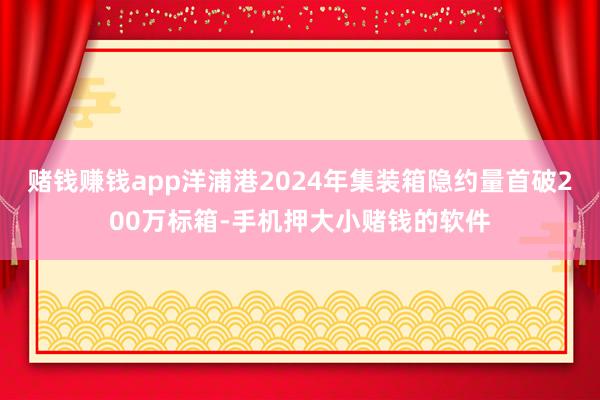 赌钱赚钱app洋浦港2024年集装箱隐约量首破200万标箱-手机押大小赌钱的软件