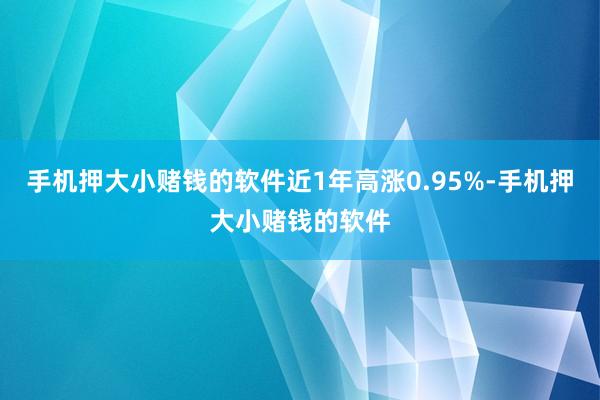 手机押大小赌钱的软件近1年高涨0.95%-手机押大小赌钱的软件