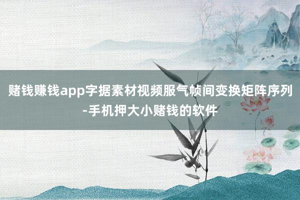 赌钱赚钱app字据素材视频服气帧间变换矩阵序列-手机押大小赌钱的软件