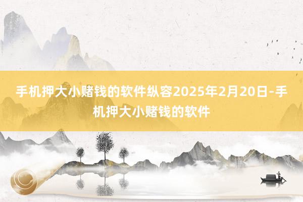 手机押大小赌钱的软件纵容2025年2月20日-手机押大小赌钱的软件