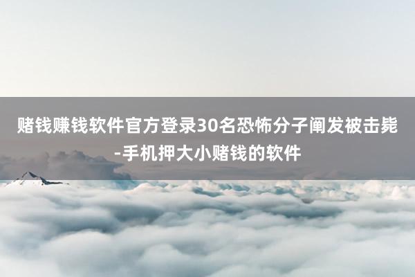 赌钱赚钱软件官方登录30名恐怖分子阐发被击毙-手机押大小赌钱的软件