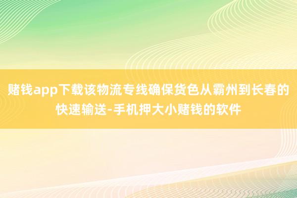 赌钱app下载该物流专线确保货色从霸州到长春的快速输送-手机押大小赌钱的软件