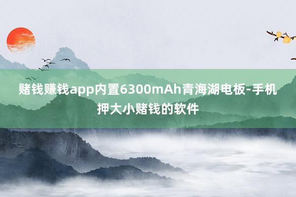 赌钱赚钱app内置6300mAh青海湖电板-手机押大小赌钱的软件