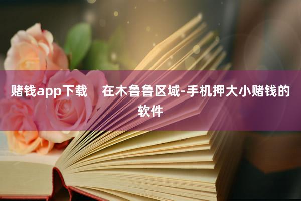 赌钱app下载    在木鲁鲁区域-手机押大小赌钱的软件