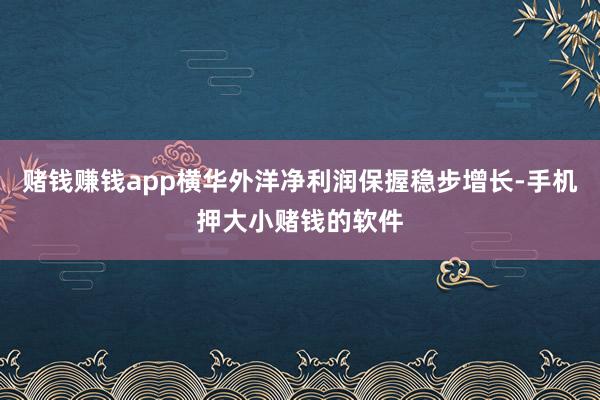 赌钱赚钱app横华外洋净利润保握稳步增长-手机押大小赌钱的软件