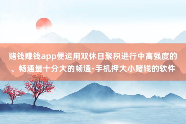 赌钱赚钱app便运用双休日聚积进行中高强度的、畅通量十分大的畅通-手机押大小赌钱的软件
