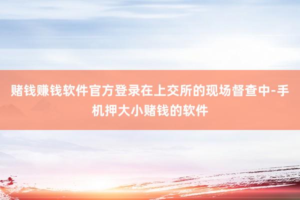 赌钱赚钱软件官方登录在上交所的现场督查中-手机押大小赌钱的软件