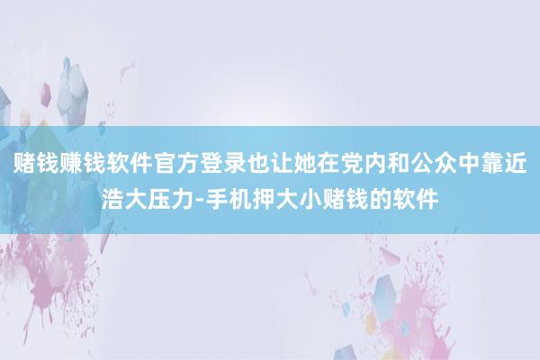 赌钱赚钱软件官方登录也让她在党内和公众中靠近浩大压力-手机押大小赌钱的软件