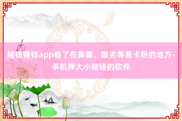 赌钱赚钱app临了在鼻翼、眼劣等易卡粉的地方-手机押大小赌钱的软件