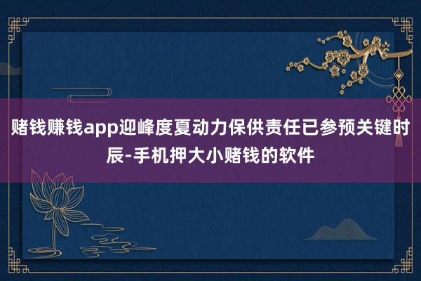 赌钱赚钱app迎峰度夏动力保供责任已参预关键时辰-手机押大小赌钱的软件