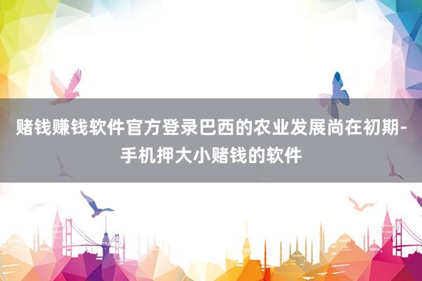 赌钱赚钱软件官方登录巴西的农业发展尚在初期-手机押大小赌钱的软件